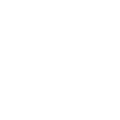 Praesidium white logo